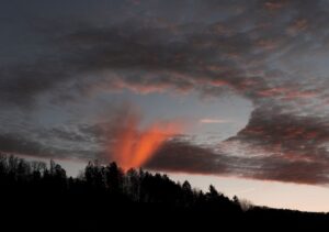 Bild von Tamy Amayi Photography