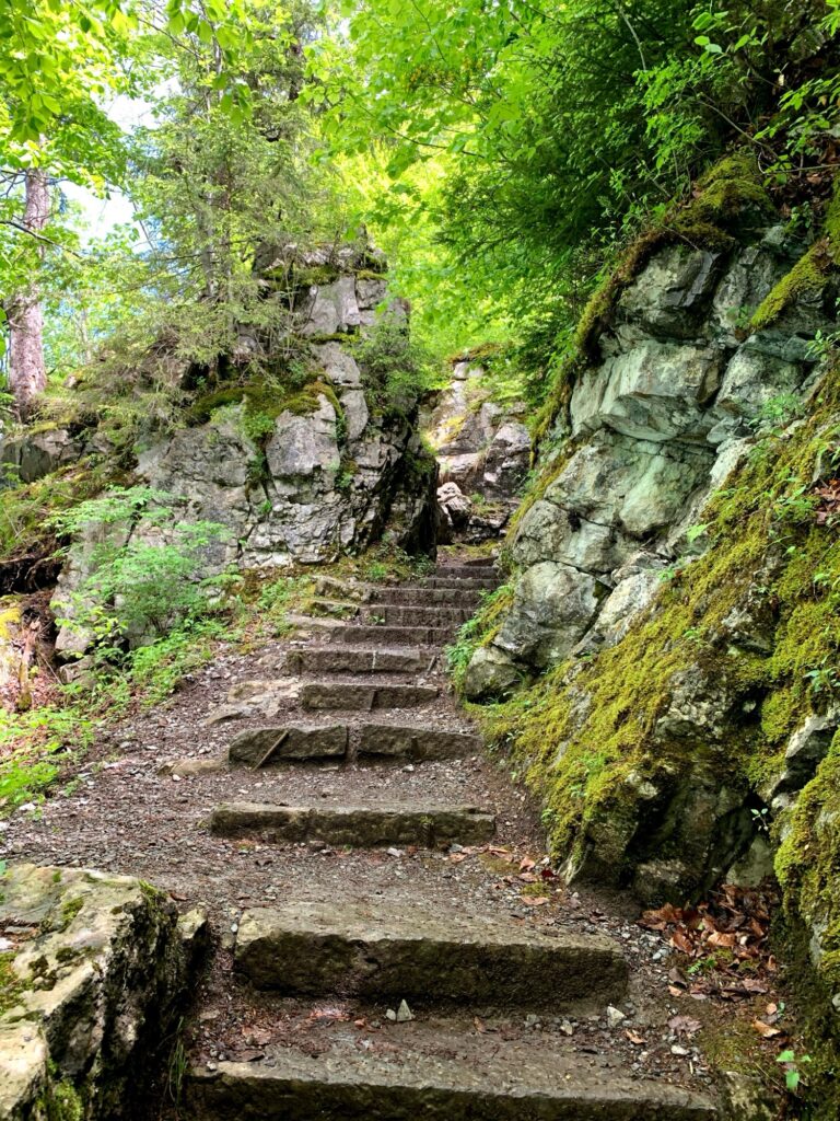 Schattiger Wanderweg mit Hund von Iseltwald nach Giessbach
