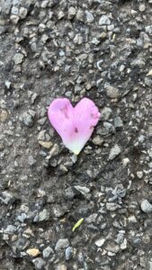 Liebe ist überall