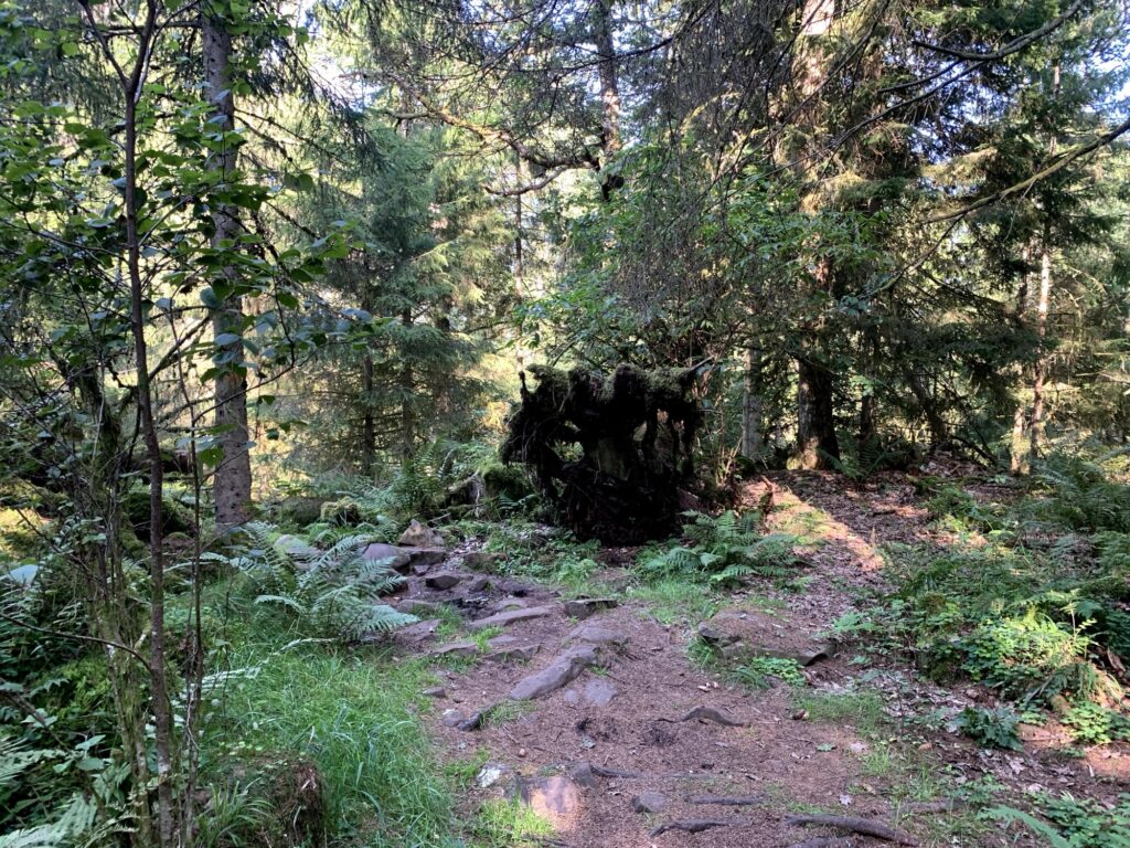 Waldgeist, Halleberg Schweden