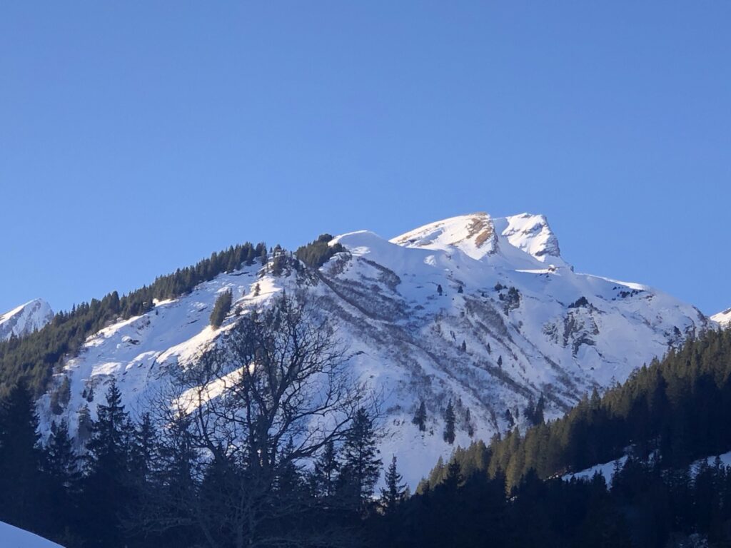 Berggesicht, Rosenlaui BE