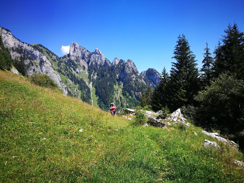 Wanderin mit Rucksack auf einer blühenden Bergwiese, im Hintergrund steile Felszacken und Tannen.
