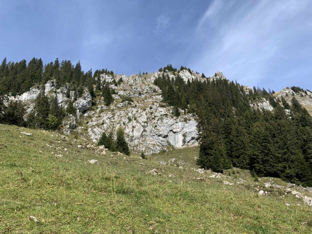 Felswand oberhalb vom Hinterstockensee, durchzogen von Tannen und alpiner Vegetation.