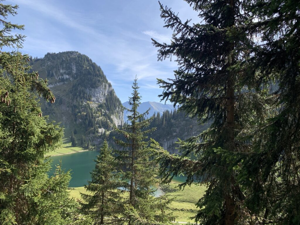 Blick auf den Hinterstockensee umgeben von Tannen und Bergen, Spiegelung im klaren Wasser.