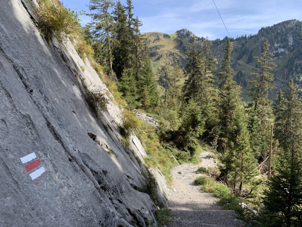 Alpiner Wanderweg am Felsen mit rot-weißer Markierung im Alpstein, Blick auf Berge und Wälder.