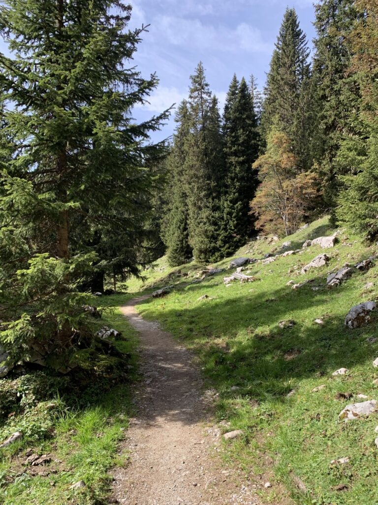 Sanfter Wanderweg über eine Wiese im Berner Oberland, idyllische Landschaft beim Chrindli unterhalb des Stockhorns.