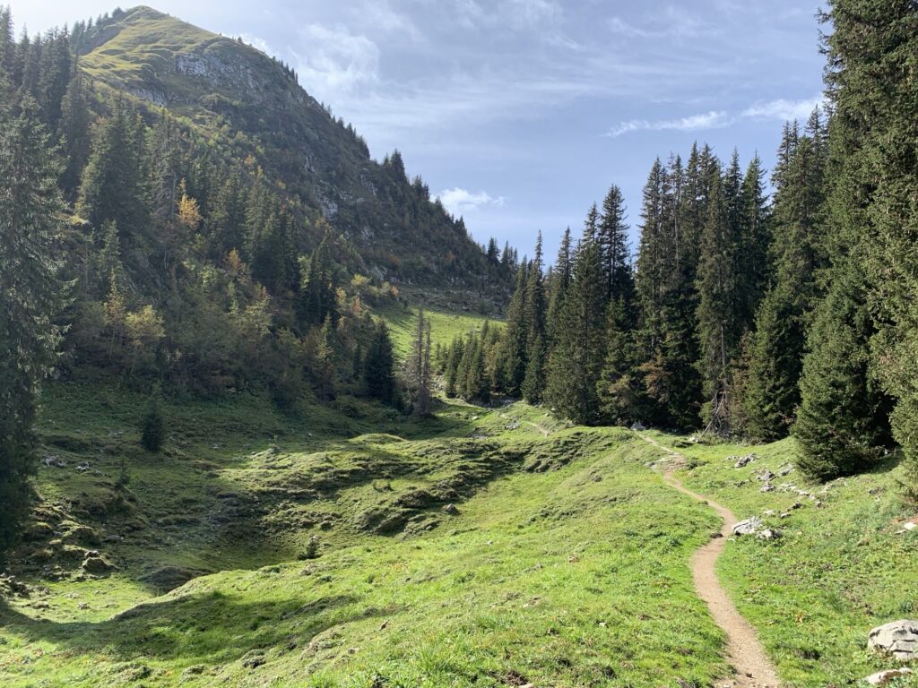 Schmaler Pfad durch grüne Alpweiden mit Blick auf bewaldete Hänge und Gipfel rund ums Stockhorn.