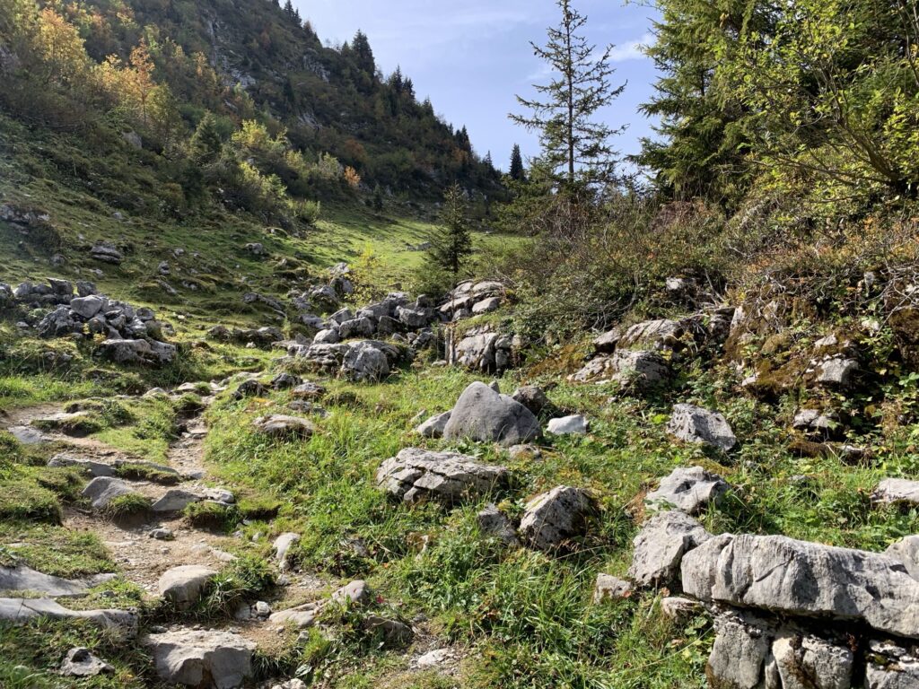 Steiniger Bergpfad durch grüne Wiesenlandschaft mit bunten Herbstbäumen im Stockhorngebiet.