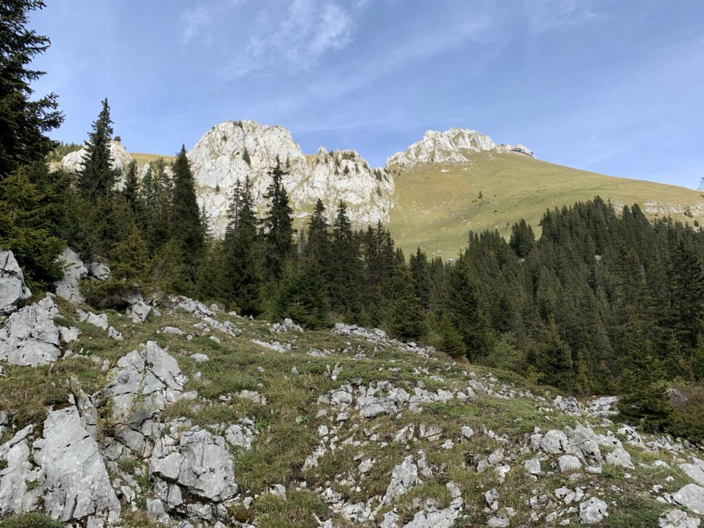 Blick auf die weißen Kalkfelsen und Tannenwälder am Stockhornmassiv im Berner Oberland.
