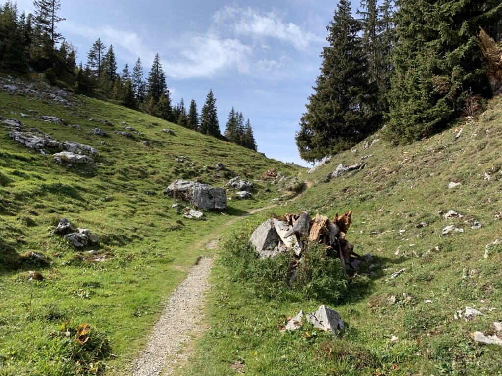 Sanfter Wanderweg durch grüne Alpweiden mit Felsblöcken, Aufstieg zum Chrindli beim Stockhorn.