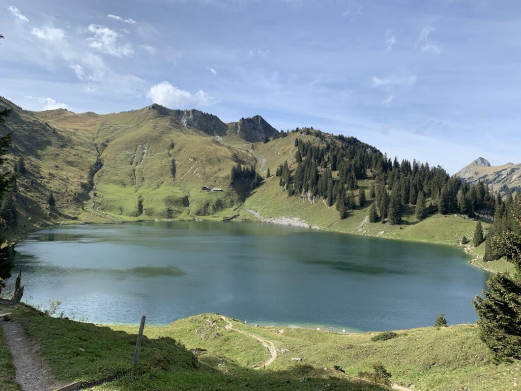Alpweidenweg mit Hund und Sicht auf den Oberstockensee sowie die Gantrischkette im Hintergrund.