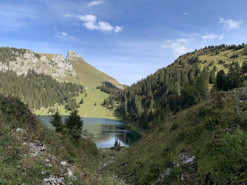 Oberstockensee von oben mit umliegenden Wäldern und Blick auf die markanten Felsformationen des Stockhorns.
