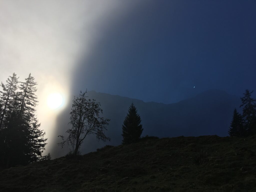 Sonne bricht durch Nebel über einem Berghang, Silhouette von Bäumen im Vordergrund.