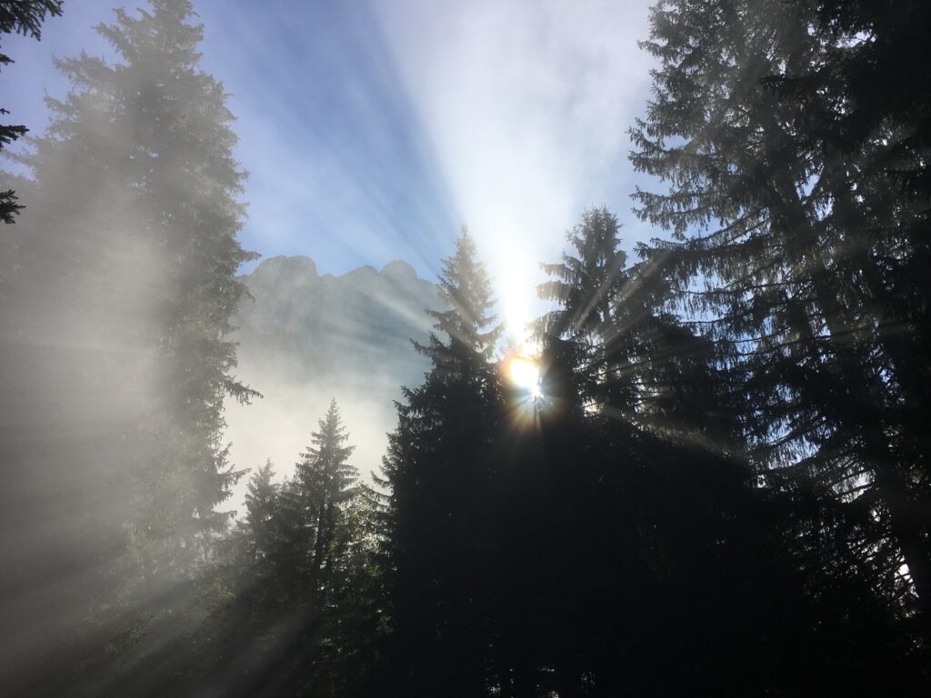 Sonnenstrahlen brechen durch die Bäume, Nebel und Berge im Hintergrund.