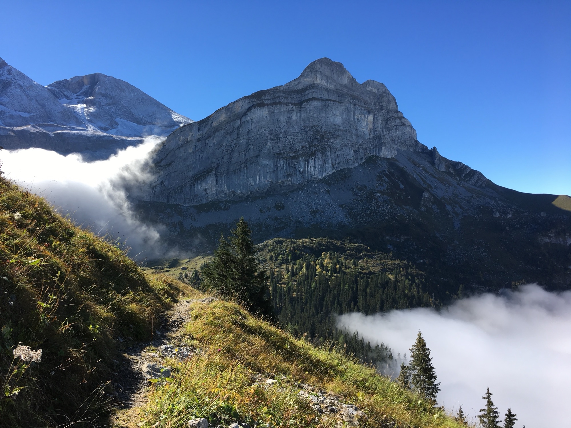 Schmaler Bergweg am sonnigen Hang mit Blick auf den markanten Felsgipfel der Axalp, darunter Wald und ein Nebelmeer