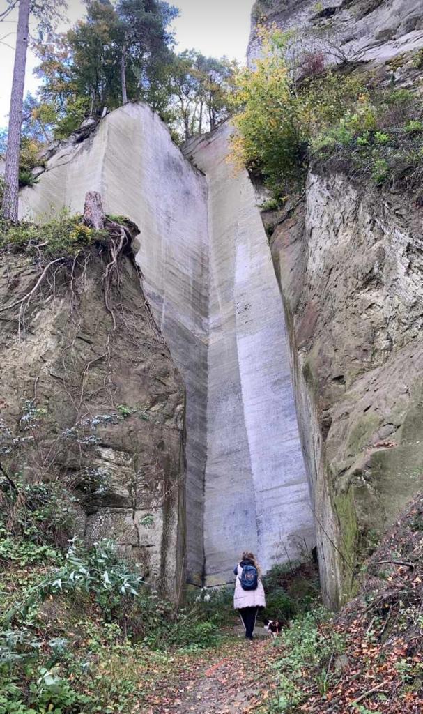 Frau mit Hund vor einer hohen, glattgeschliffenen Felswand in einer Schlucht mit herbstlicher Vegetation.