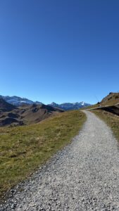 Kiesweg durch offene Bergwiesen – der Wanderweg schlängelt sich Richtung Silerbühl mit Blick auf verschneite Gipfel.