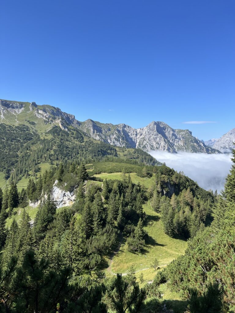 Ausblick vom Waldweg: Weite Sicht auf Täler und Berge, sonnendurchflutete Wiesen und Wälder mit Nebelschwaden.