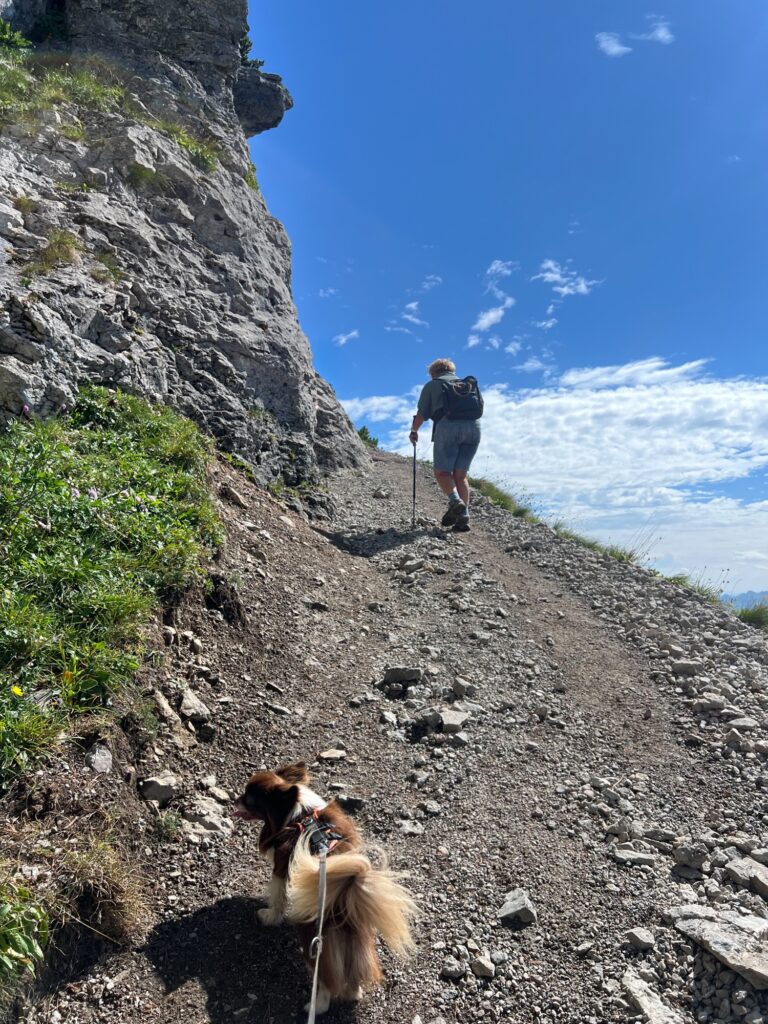 Aufstieg am Grat: Wanderer mit Hund auf schmalem Schotterpfad neben steiler Felswand, blauer Himmel über ihnen.