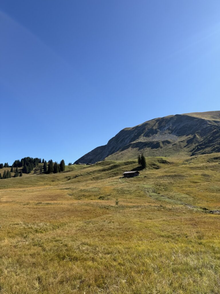 Blick über die weite Lombachalp mit einer einsamen Alphütte am Fuss des Winterröst unter strahlend blauem Himmel.