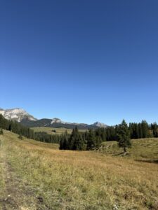 Aussicht über die goldene Herbstlandschaft der Lombachalp mit Blick auf den Winterröst und umliegende Berge.