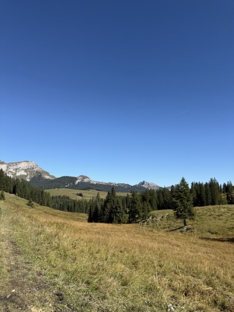 Aussicht über die goldene Herbstlandschaft der Lombachalp mit Blick auf den Winterröst und umliegende Berge.