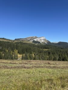 Herbstliche Berglandschaft auf der Lombachalp mit grünen Wäldern und dem markanten Winterröst im Hintergrund.
