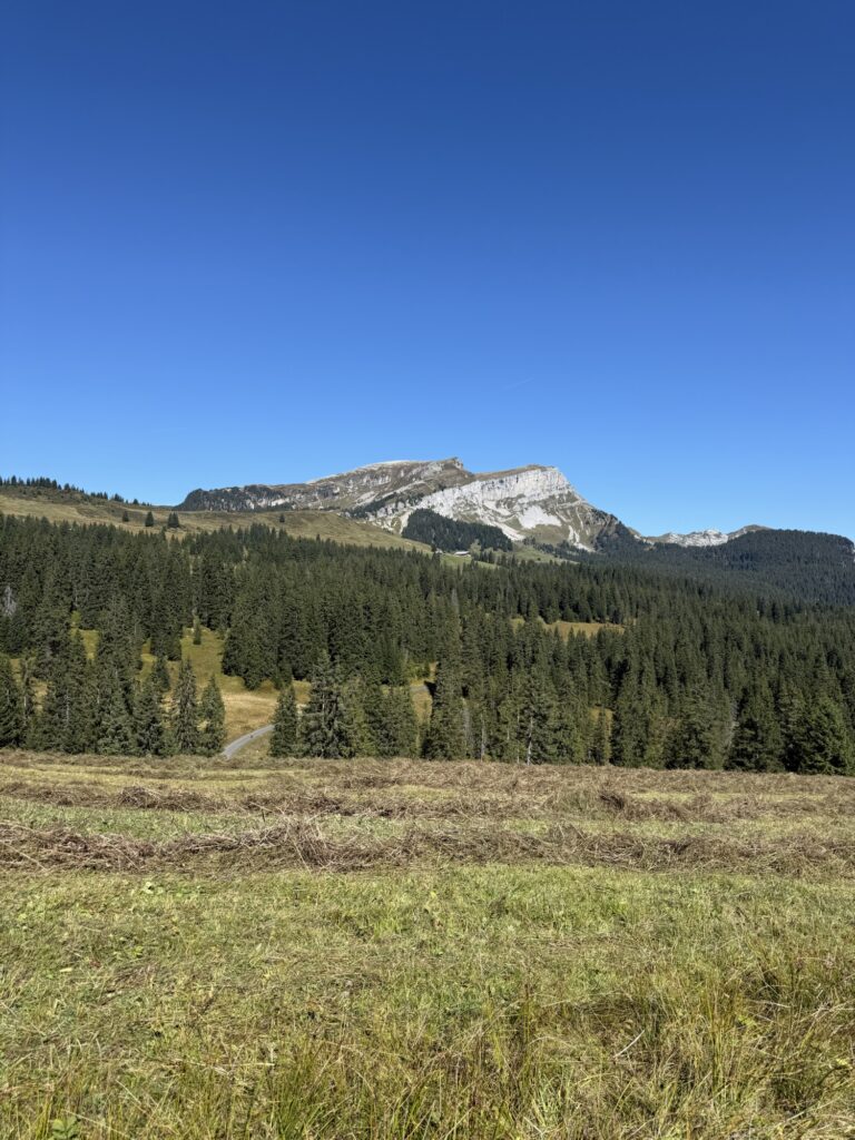 Herbstliche Berglandschaft auf der Lombachalp mit grünen Wäldern und dem markanten Winterröst im Hintergrund.