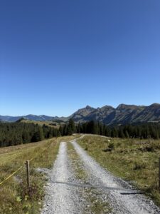 Schotterweg auf der Lombachalp mit Blick auf die Bergkette des Berner Oberlands unter wolkenlosem Himmel.