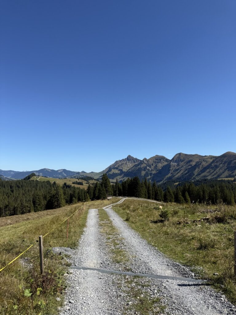 Schotterweg auf der Lombachalp mit Blick auf die Bergkette des Berner Oberlands unter wolkenlosem Himmel.