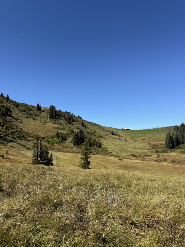 Weite, goldene Hügellandschaft der Lombachalp mit einer einzelnen Hütte in der Ferne und klarem Himmel.
