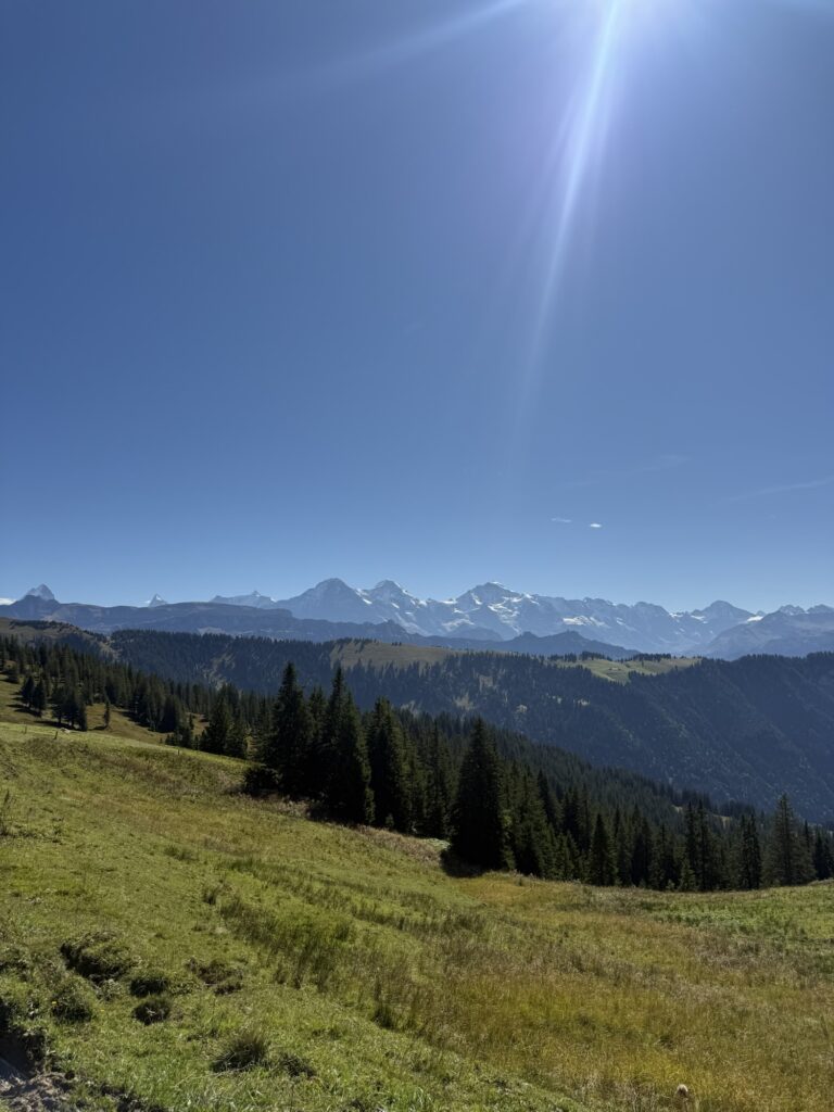 Aussicht auf die verschneiten Gipfel von Eiger, Mönch und Jungfrau von der Lombachalp aus – Sonnenstrahlen über den Alpen.