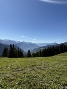 Grüne Alpweide oberhalb der Lombachalp mit Aussicht auf das Tal und ferne Berge im Sonnenlicht.