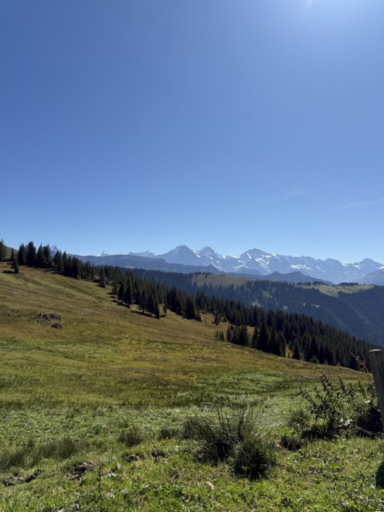 Blick von der Lombachalp auf die Bergkette mit Eiger, Mönch und Jungfrau im klaren Herbstlicht.