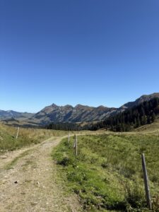 Wanderweg auf der Lombachalp mit Aussicht auf die umliegenden Gipfel und herbstlich gefärbte Weiden.