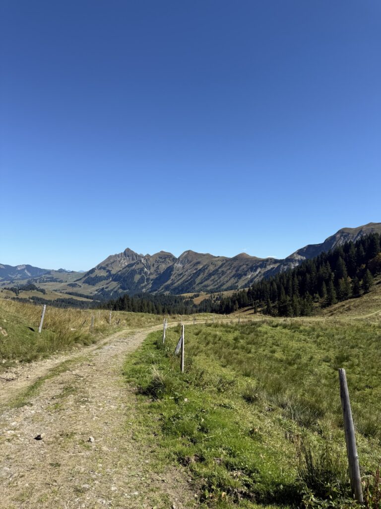 Wanderweg auf der Lombachalp mit Aussicht auf die umliegenden Gipfel und herbstlich gefärbte Weiden.