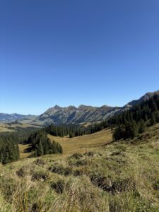 Weite Aussicht über die sanften Hügel der Lombachalp mit Blick auf die Bergkette des Berner Oberlands.