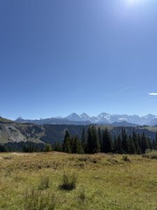 Panorama von der Lombachalp mit Blick auf die schneebedeckten Gipfel Eiger, Mönch und Jungfrau unter strahlend blauem Himmel.