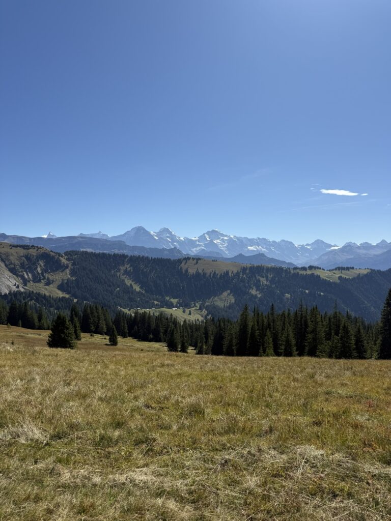 Weite Wiesenlandschaft der Lombachalp mit Blick auf das Alpenpanorama von Eiger, Mönch und Jungfrau.