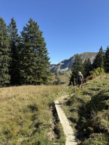Wanderin auf Holzsteg durch die Moorlandschaft der Lombachalp mit Blick auf den Winterröst.