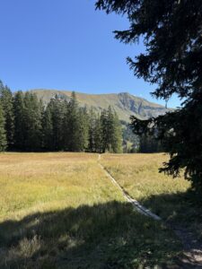 Holzsteg durch eine goldene Moorwiese auf der Lombachalp, eingerahmt von Tannen und Blick auf den Winterröst.