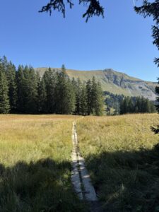Holzsteg führt durch die Wiesenlandschaft der Lombachalp in Richtung Winterröst – Herbstlicht zwischen Tannen.