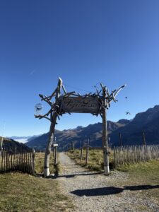 Holztorbogen „Vogel-Lisi“ Erlebnisweg – liebevoll gestalteter Einstiegspunkt mit Panoramablick ins Tal.