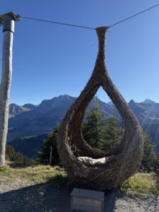 Grosse Nest-Schaukel aus Weidengeflecht – Rastplatz mit Aussicht auf die umliegenden Berge bei der Vogel-Lisi-Route.