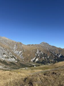 Blick auf schroffe Kalkwände und Bergwiesen – Kontraste aus Stein, Gras und Nadelwald entlang des Blumenwegs.