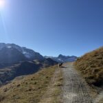Hund auf dem Bergweg vor alpiner Kulisse – sonniger Abschnitt des Blumenwegs mit weiter Aussicht über das Engstligental.