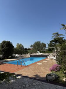 Sonniger Poolbereich mit Liegestühlen, umgeben von mediterranen Pflanzen und Olivenbäumen auf der Insel Krk.