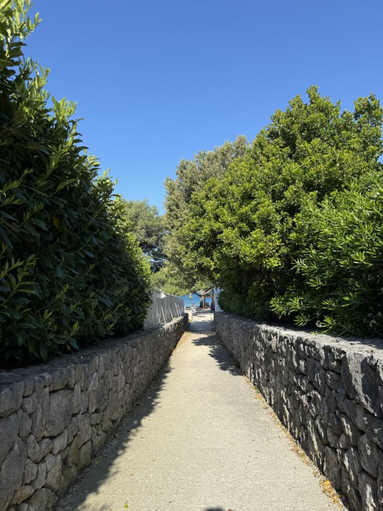 Schmaler Weg aus Steinmauern, der durch grüne Büsche zum Meer führt – typisches Küstenflair der Insel Krk.