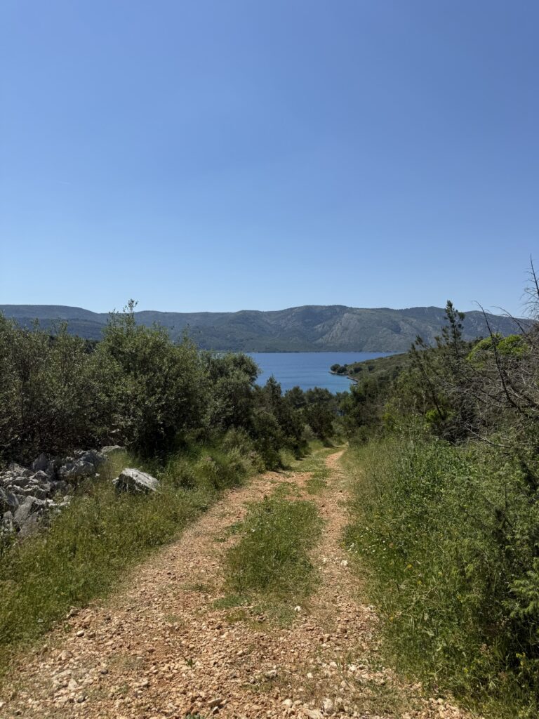 Schmaler Naturweg führt bergab zum Meer, umgeben von grünem Buschwerk und Blick auf die Bucht.