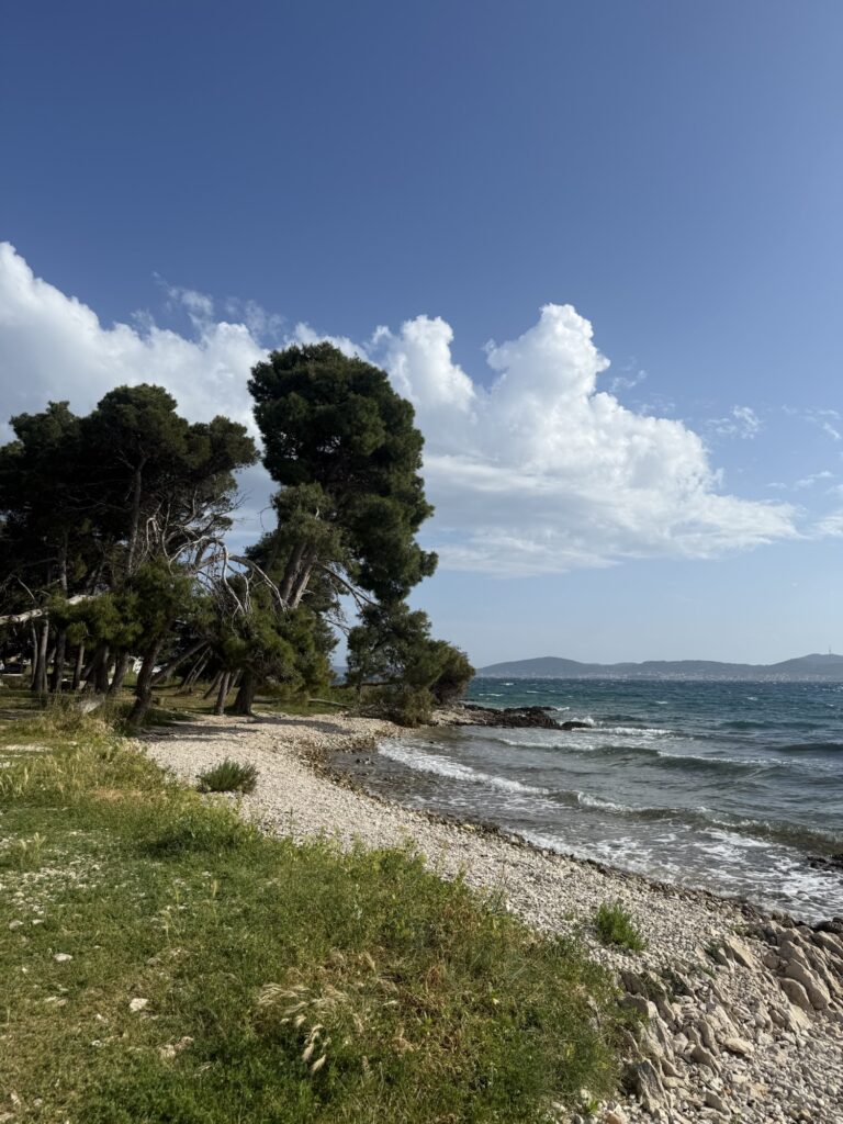 Steinstrand mit Pinien und Blick auf das tiefblaue Meer bei leichtem Wellengang und Wolkenhimmel.